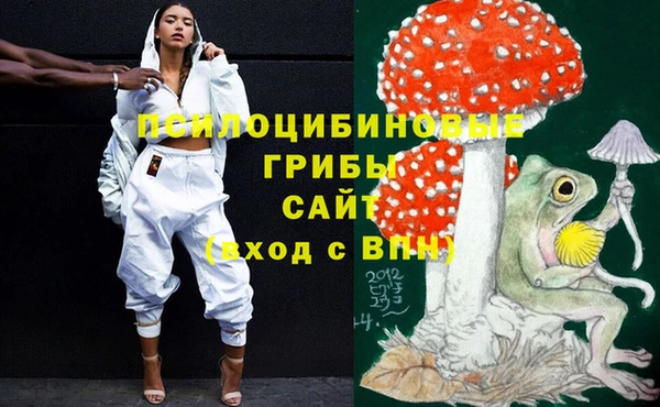 ГАЛЛЮЦИНОГЕННЫЕ ГРИБЫ Абдулино