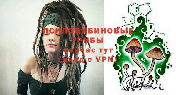 ГАЛЛЮЦИНОГЕННЫЕ ГРИБЫ Абдулино